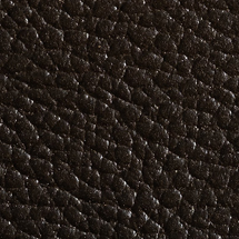 Antique Black Walrus