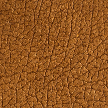 Luxe Swatch Maple Buffalo